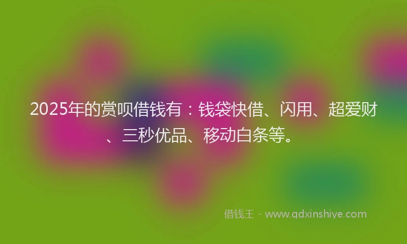 2025年的赏呗借钱有：钱袋快借、闪用、超爱财、三秒优品、移动白条等。