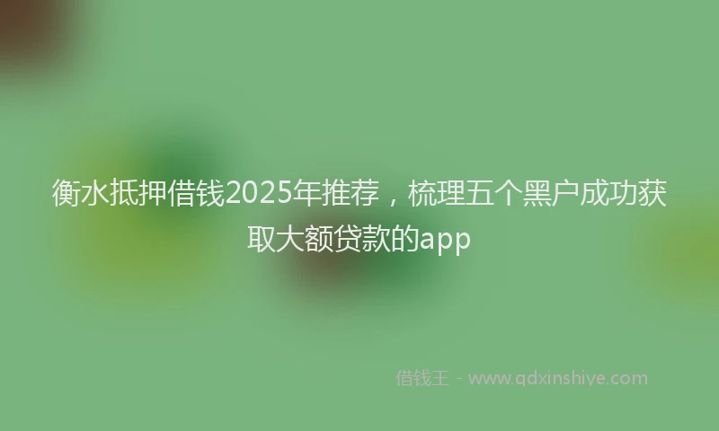 衡水抵押借钱2025年推荐，梳理五个黑户成功获取大额贷款的app