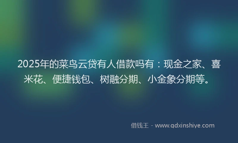 2025年的菜鸟云贷有人借款吗有：现金之家、喜米花、便捷钱包、树融分期、小金象分期等。