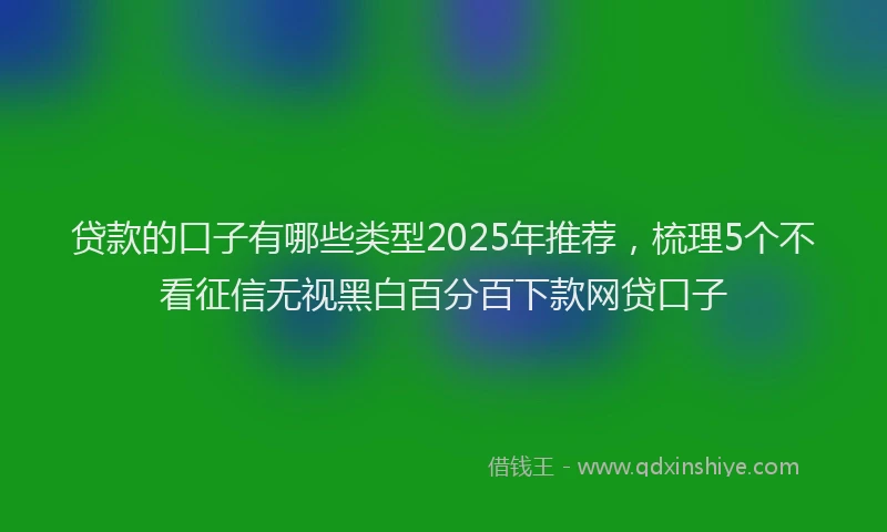 贷款的口子有哪些类型2025年推荐，梳理5个不看征信无视黑白百分百下款网贷口子
