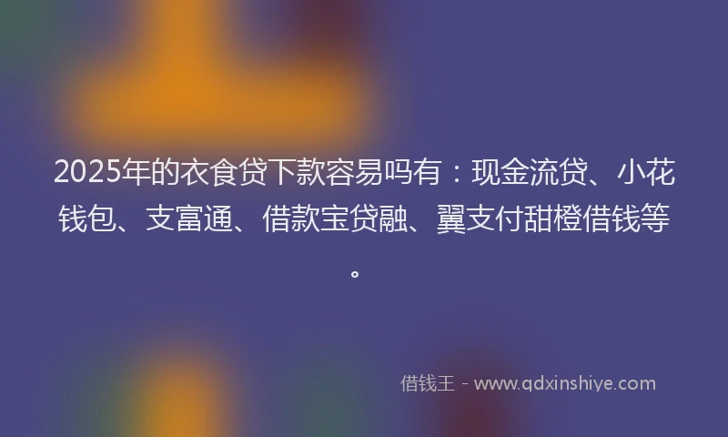 2025年的衣食贷下款容易吗有：现金流贷、小花钱包、支富通、借款宝贷融、翼支付甜橙借钱等。