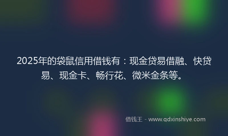 2025年的袋鼠信用借钱有：现金贷易借融、快贷易、现金卡、畅行花、微米金条等。