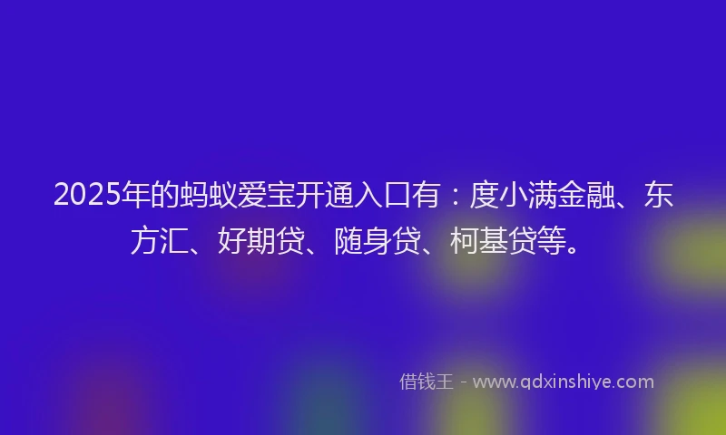 2025年的蚂蚁爱宝开通入口有：度小满金融、东方汇、好期贷、随身贷、柯基贷等。