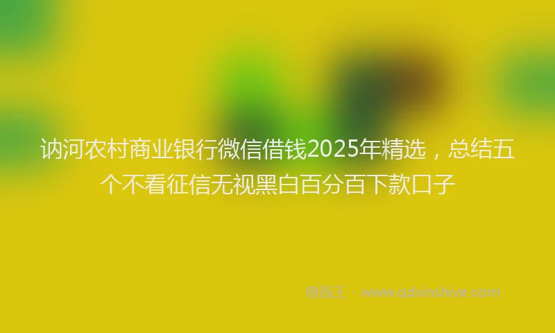 讷河农村商业银行微信借钱2025年精选，总结五个不看征信无视黑白百分百下款口子