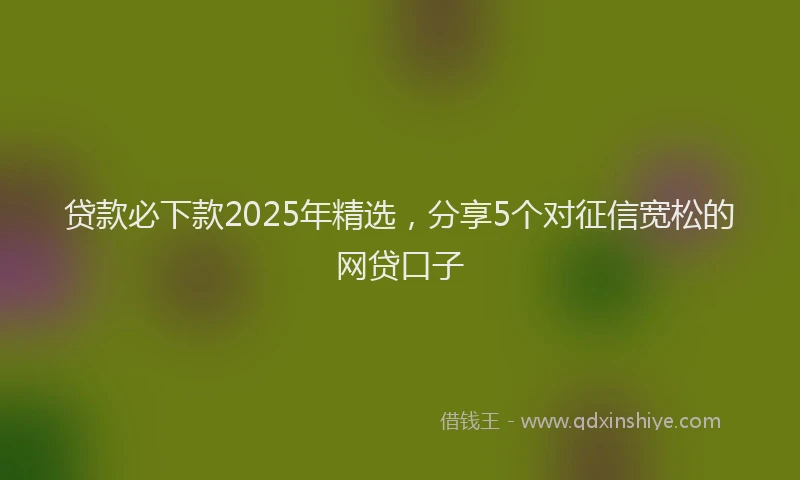 贷款必下款2025年精选，分享5个对征信宽松的网贷口子