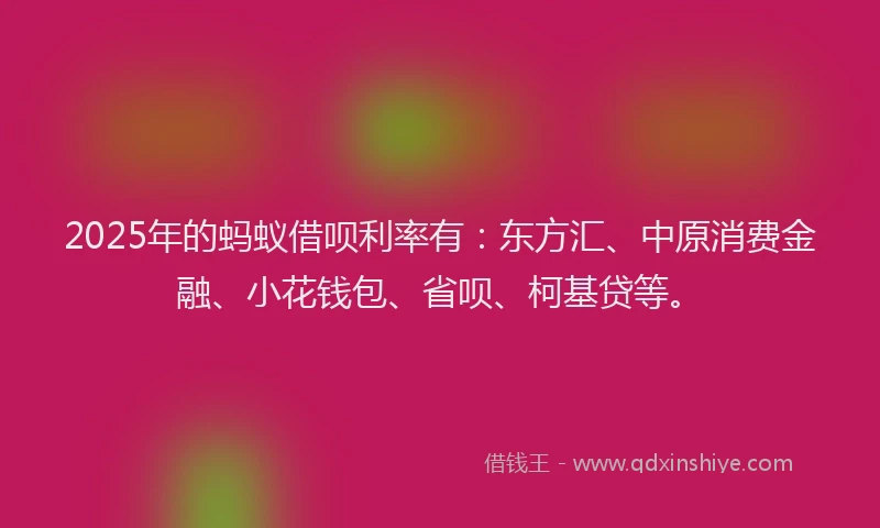 2025年的蚂蚁借呗利率有：东方汇、中原消费金融、小花钱包、省呗、柯基贷等。