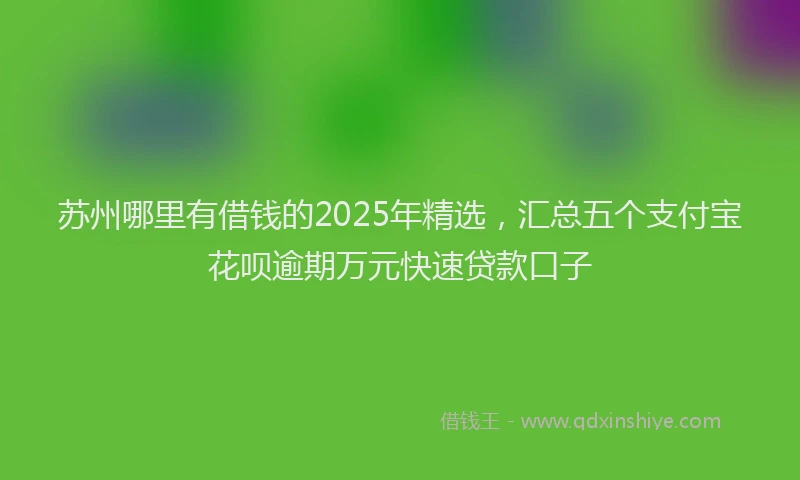 苏州哪里有借钱的2025年精选，汇总五个支付宝花呗逾期万元快速贷款口子