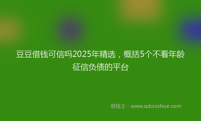 豆豆借钱可信吗2025年精选，概括5个不看年龄征信负债的平台