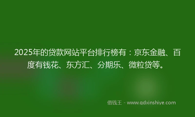 2025年的贷款网站平台排行榜有：京东金融、百度有钱花、东方汇、分期乐、微粒贷等。
