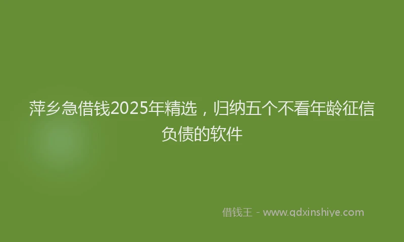 萍乡急借钱2025年精选，归纳五个不看年龄征信负债的软件