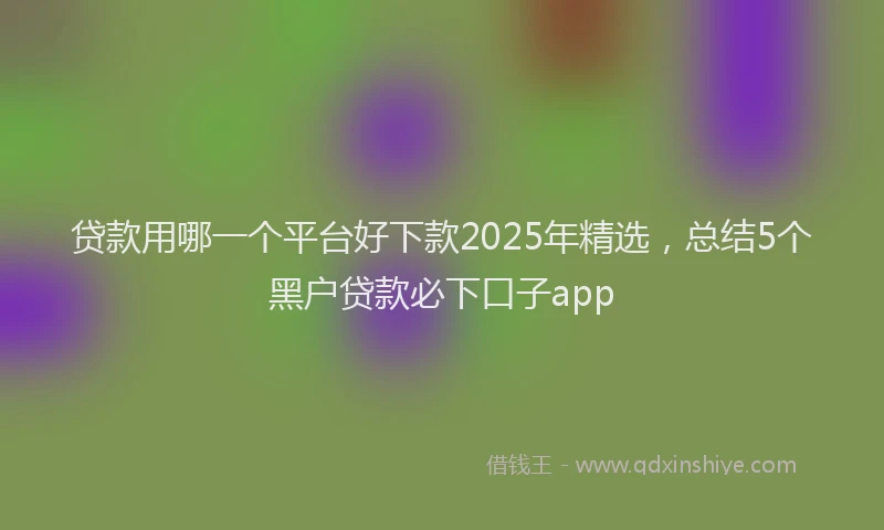贷款用哪一个平台好下款2025年精选，总结5个黑户贷款必下口子app