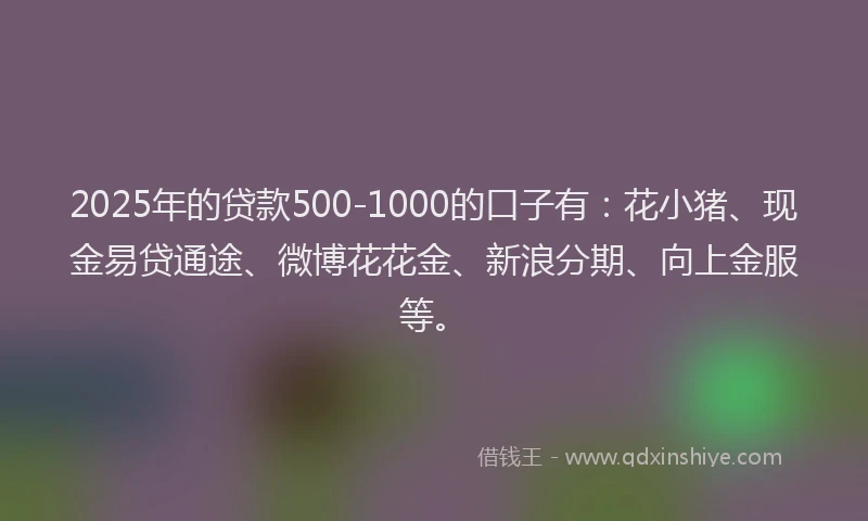2025年的贷款500-1000的口子有:花小猪、现金易贷通途、微博花花金、新浪分期、向上金服等。