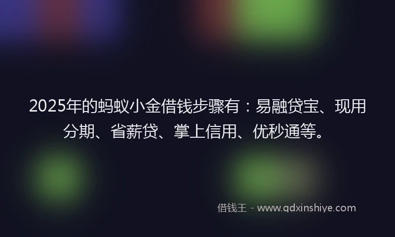 2025年的蚂蚁小金借钱步骤有：易融贷宝、现用分期、省薪贷、掌上信用、优秒通等。