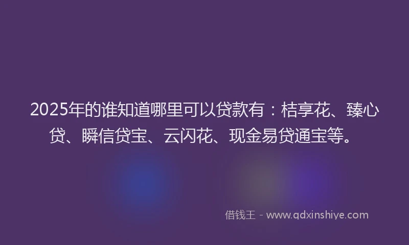 2025年的谁知道哪里可以贷款有：桔享花、臻心贷、瞬信贷宝、云闪花、现金易贷通宝等。