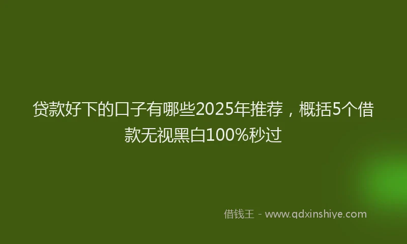 贷款好下的口子有哪些2025年推荐，概括5个借款无视黑白100%秒过