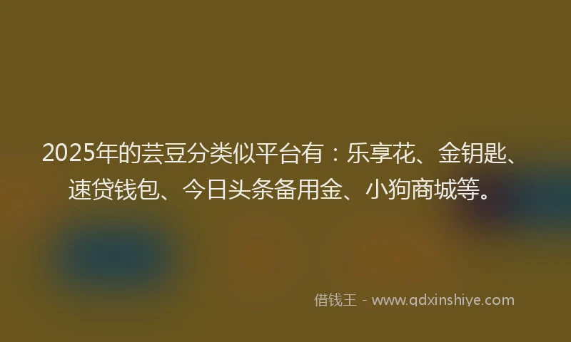 2025年的芸豆分类似平台有：乐享花、金钥匙、速贷钱包、今日头条备用金、小狗商城等。
