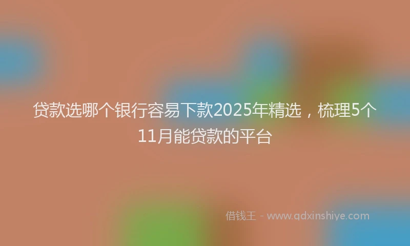 贷款选哪个银行容易下款2025年精选，梳理5个11月能贷款的平台