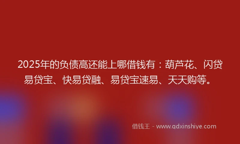 2025年的负债高还能上哪借钱有：葫芦花、闪贷易贷宝、快易贷融、易贷宝速易、天天购等。