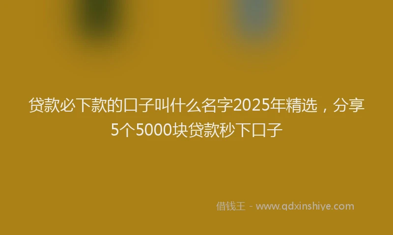 贷款必下款的口子叫什么名字2025年精选，分享5个5000块贷款秒下口子