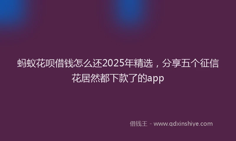 蚂蚁花呗借钱怎么还2025年精选，分享五个征信花居然都下款了的app
