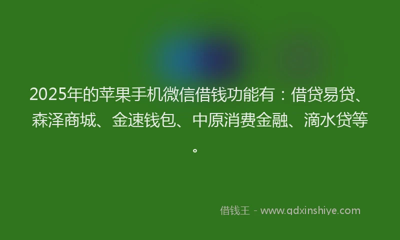 2025年的苹果手机微信借钱功能有：借贷易贷、森泽商城、金速钱包、中原消费金融、滴水贷等。