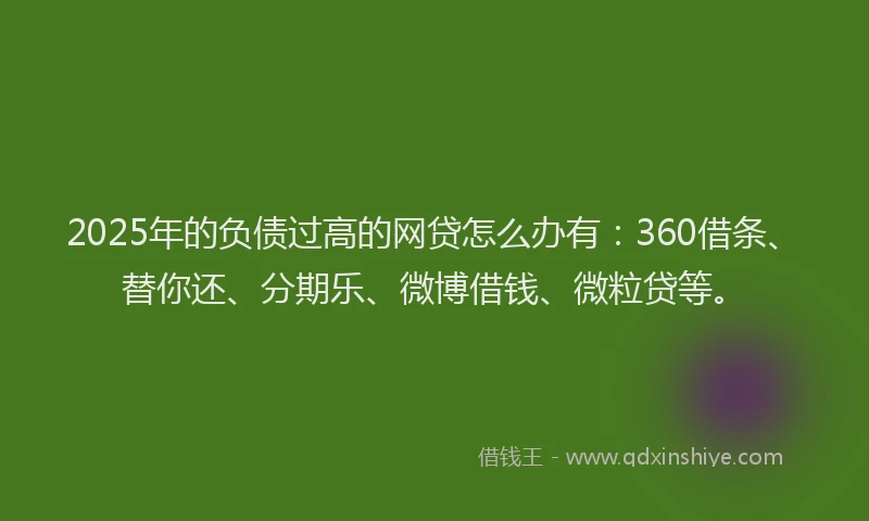 2025年的负债过高的网贷怎么办有：360借条、替你还、分期乐、微博借钱、微粒贷等。