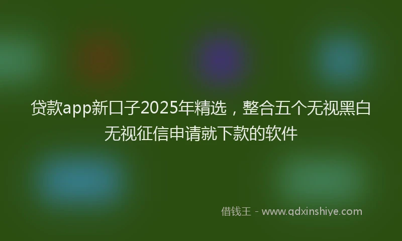 贷款app新口子2025年精选，整合五个无视黑白无视征信申请就下款的软件