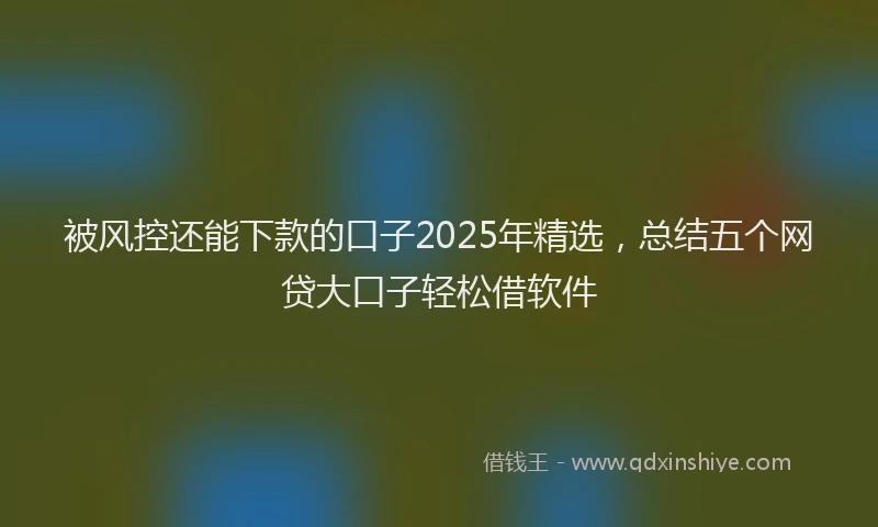 被风控还能下款的口子2025年精选，总结五个网贷大口子轻松借软件