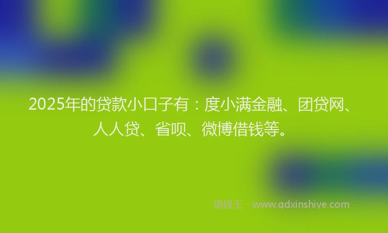 2025年的贷款小口子有：度小满金融、团贷网、人人贷、省呗、微博借钱等。