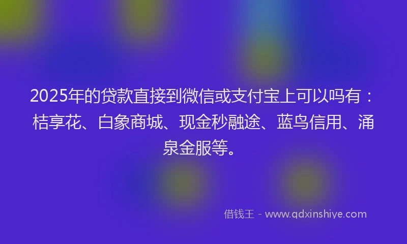2025年的贷款直接到微信或支付宝上可以吗有：桔享花、白象商城、现金秒融途、蓝鸟信用、涌泉金服等。