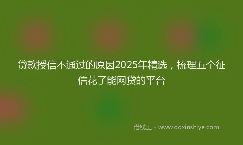 贷款授信不通过的原因2025年精选，梳理五个征信花了能网贷的平台
