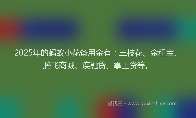 2025年的蚂蚁小花备用金有：三枝花、金租宝、腾飞商城、疾融贷、掌上贷等。