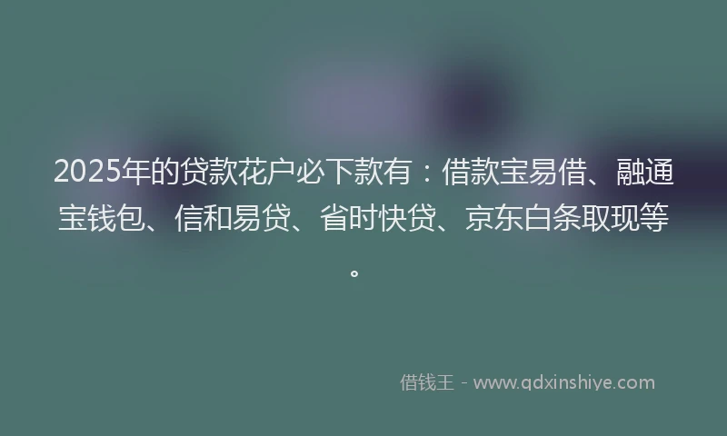 2025年的贷款花户必下款有：借款宝易借、融通宝钱包、信和易贷、省时快贷、京东白条取现等。