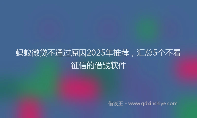 蚂蚁微贷不通过原因2025年推荐，汇总5个不看征信的借钱软件