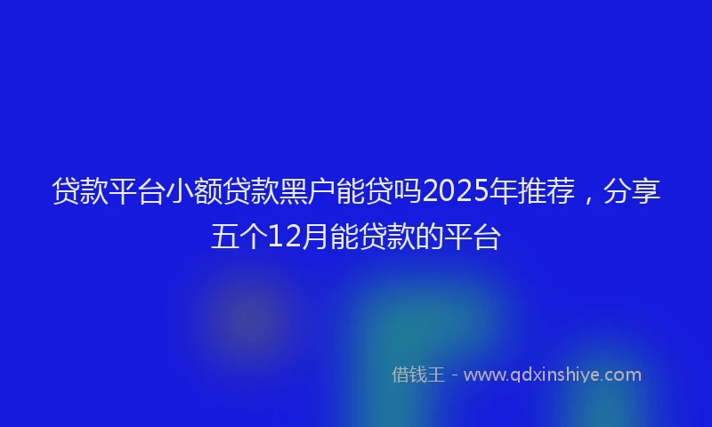 贷款平台小额贷款黑户能贷吗2025年推荐，分享五个12月能贷款的平台