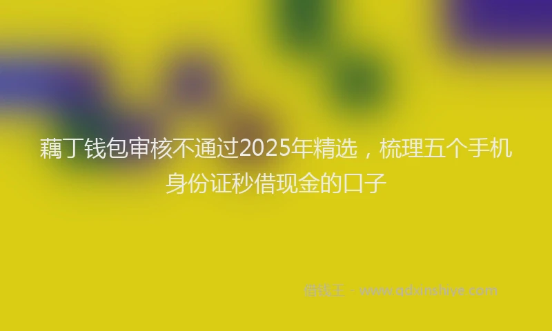藕丁钱包审核不通过2025年精选，梳理五个手机身份证秒借现金的口子