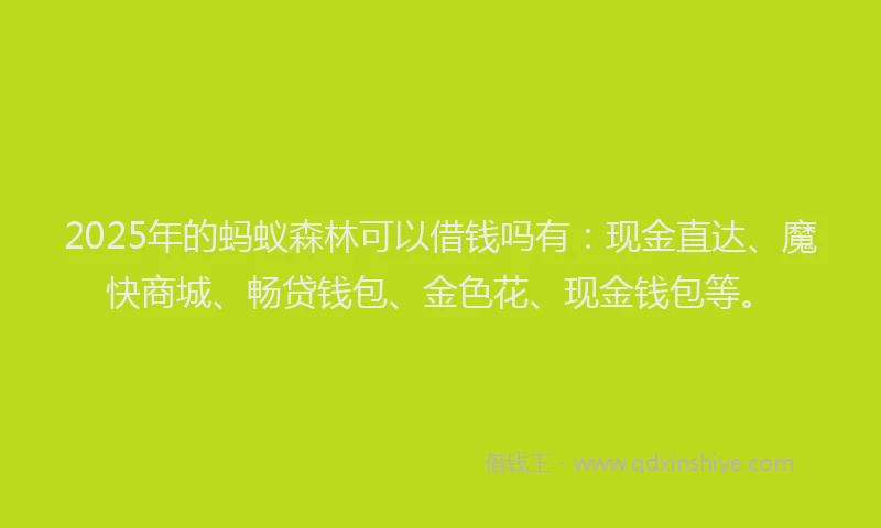 2025年的蚂蚁森林可以借钱吗有：现金直达、魔快商城、畅贷钱包、金色花、现金钱包等。