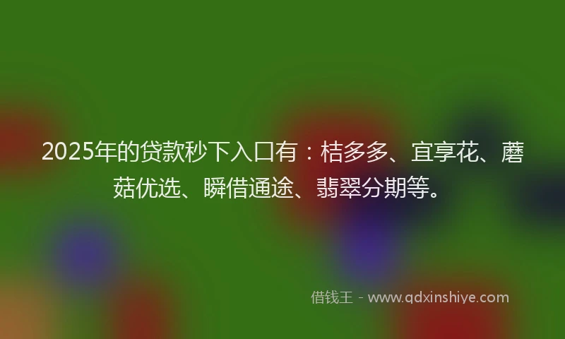 2025年的贷款秒下入口有：桔多多、宜享花、蘑菇优选、瞬借通途、翡翠分期等。