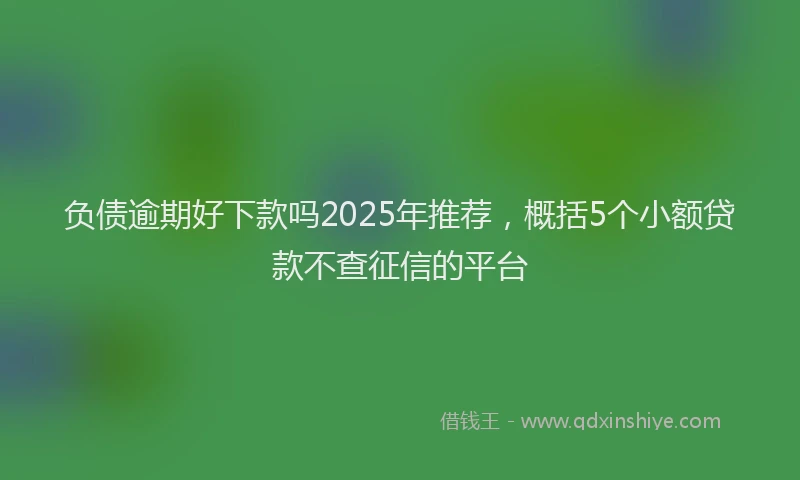 负债逾期好下款吗2025年推荐，概括5个小额贷款不查征信的平台