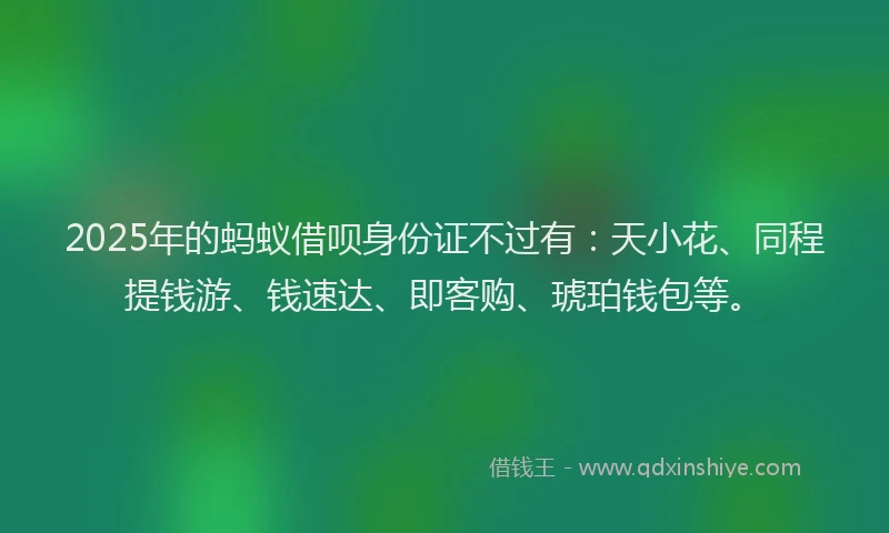 2025年的蚂蚁借呗身份证不过有：天小花、同程提钱游、钱速达、即客购、琥珀钱包等。