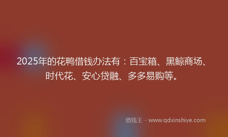 2025年的花鸭借钱办法有：百宝箱、黑鲸商场、时代花、安心贷融、多多易购等。