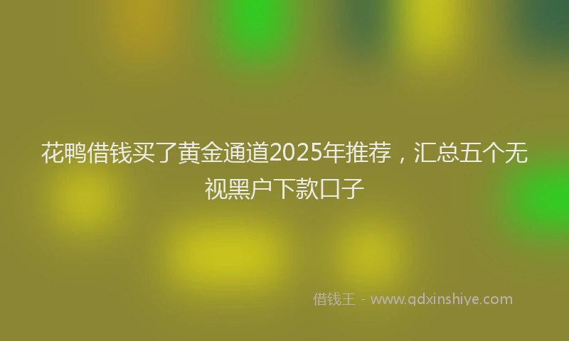 花鸭借钱买了黄金通道2025年推荐，汇总五个无视黑户下款口子