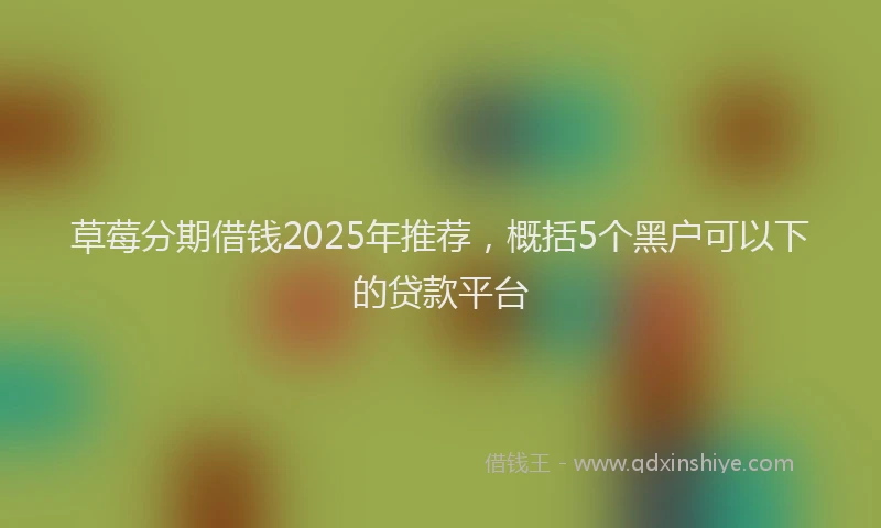 草莓分期借钱2025年推荐，概括5个黑户可以下的贷款平台
