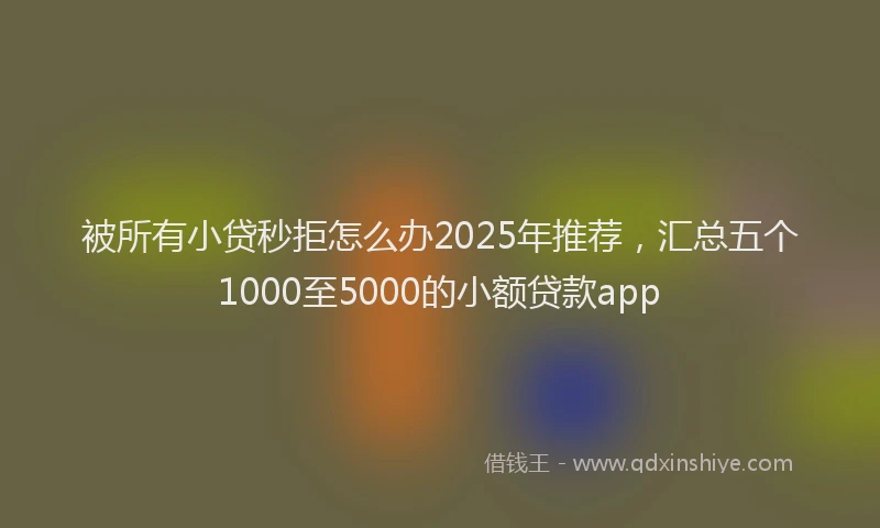被所有小贷秒拒怎么办2025年推荐，汇总五个1000至5000的小额贷款app