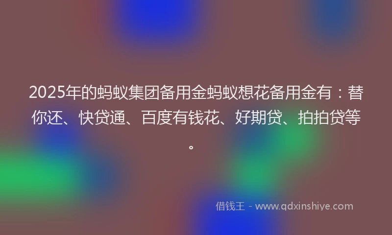 2025年的蚂蚁集团备用金蚂蚁想花备用金有：替你还、快贷通、百度有钱花、好期贷、拍拍贷等。