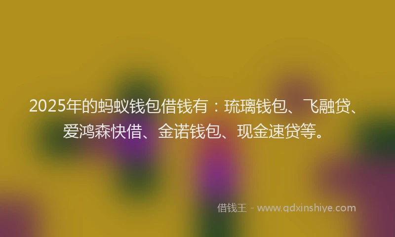 2025年的蚂蚁钱包借钱有：琉璃钱包、飞融贷、爱鸿森快借、金诺钱包、现金速贷等。
