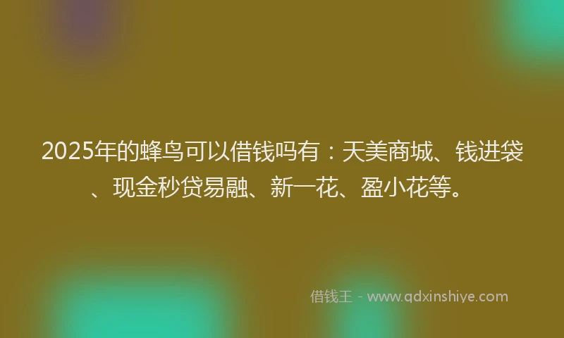 2025年的蜂鸟可以借钱吗有：天美商城、钱进袋、现金秒贷易融、新一花、盈小花等。