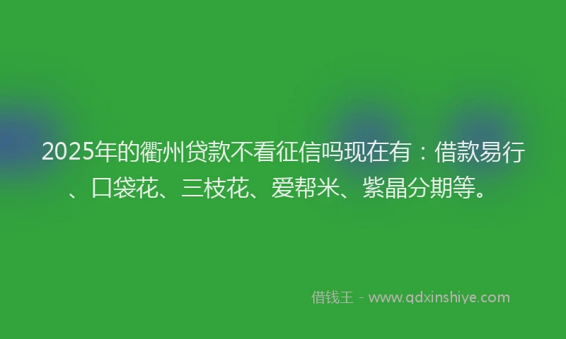 2025年的衢州贷款不看征信吗现在有：借款易行、口袋花、三枝花、爱帮米、紫晶分期等。