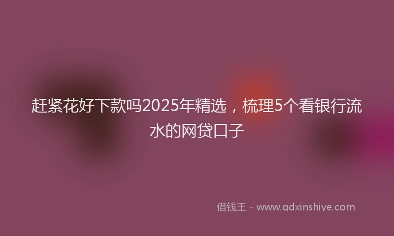 赶紧花好下款吗2025年精选，梳理5个看银行流水的网贷口子