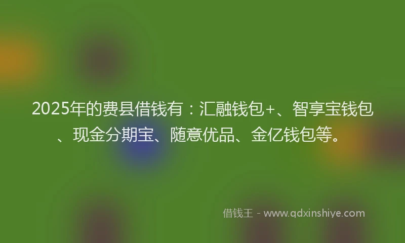 2025年的费县借钱有：汇融钱包+、智享宝钱包、现金分期宝、随意优品、金亿钱包等。